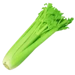 celeris