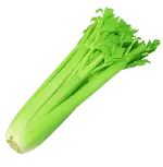 celeris