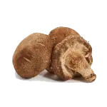 champignon